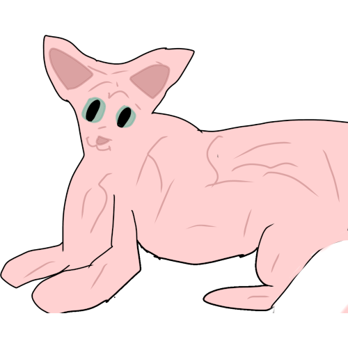 a simply drawn, wrinkly pink sphynx cat